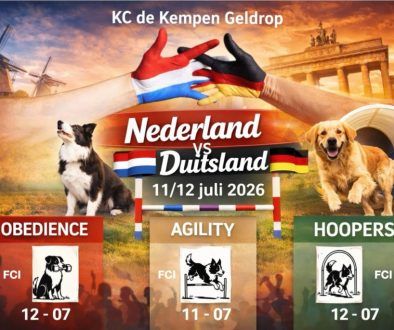 Interland Ned-Dui flyer